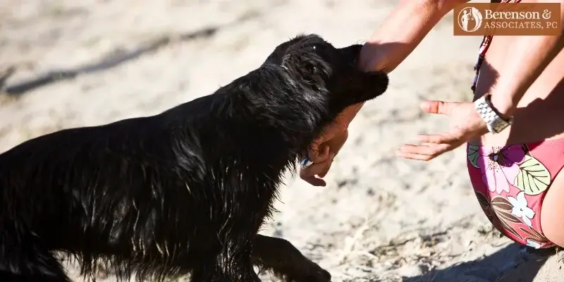 dog bite lawyer in taos